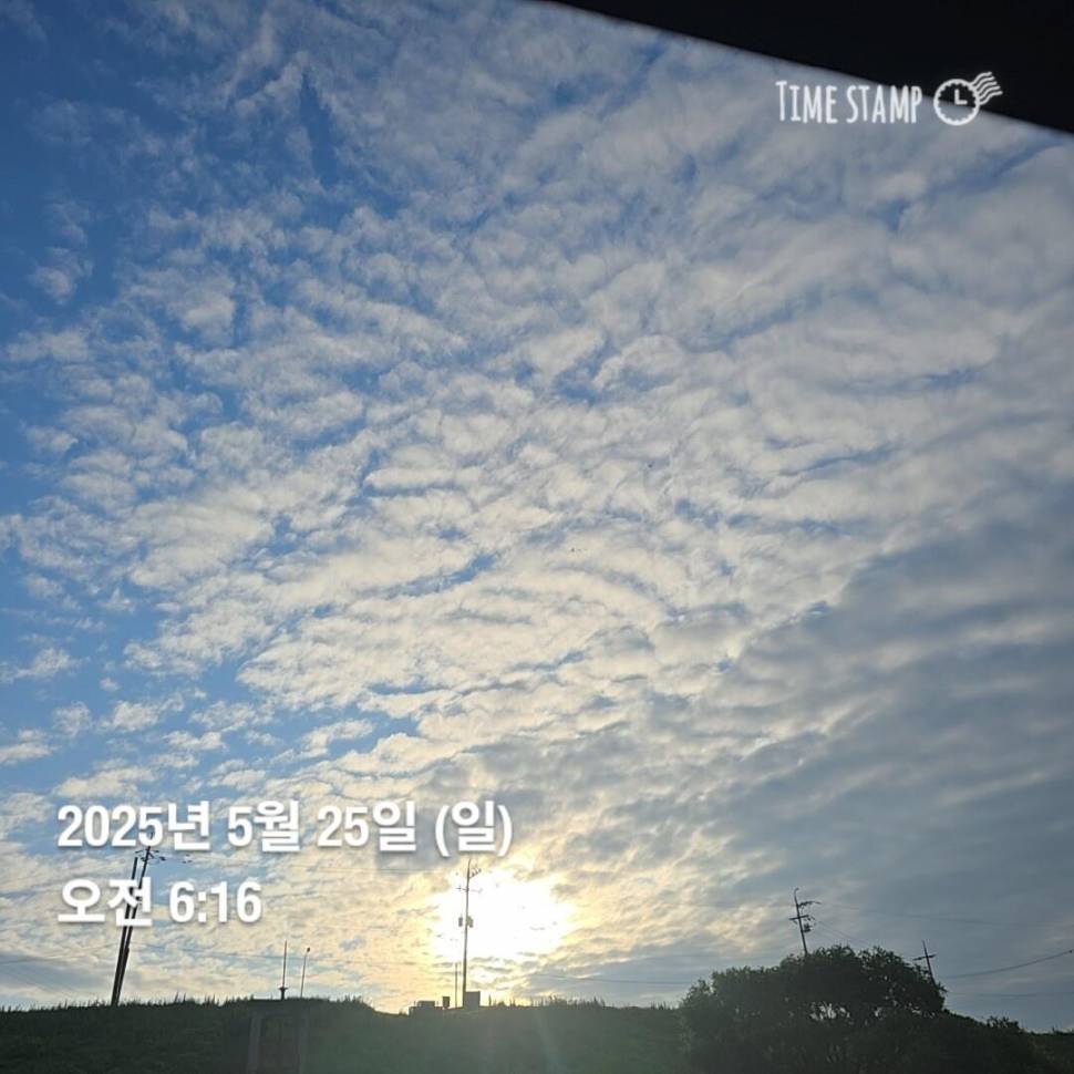풍비의 주말 나들이 ♧☆ (조황조행기 - 화보조행기)