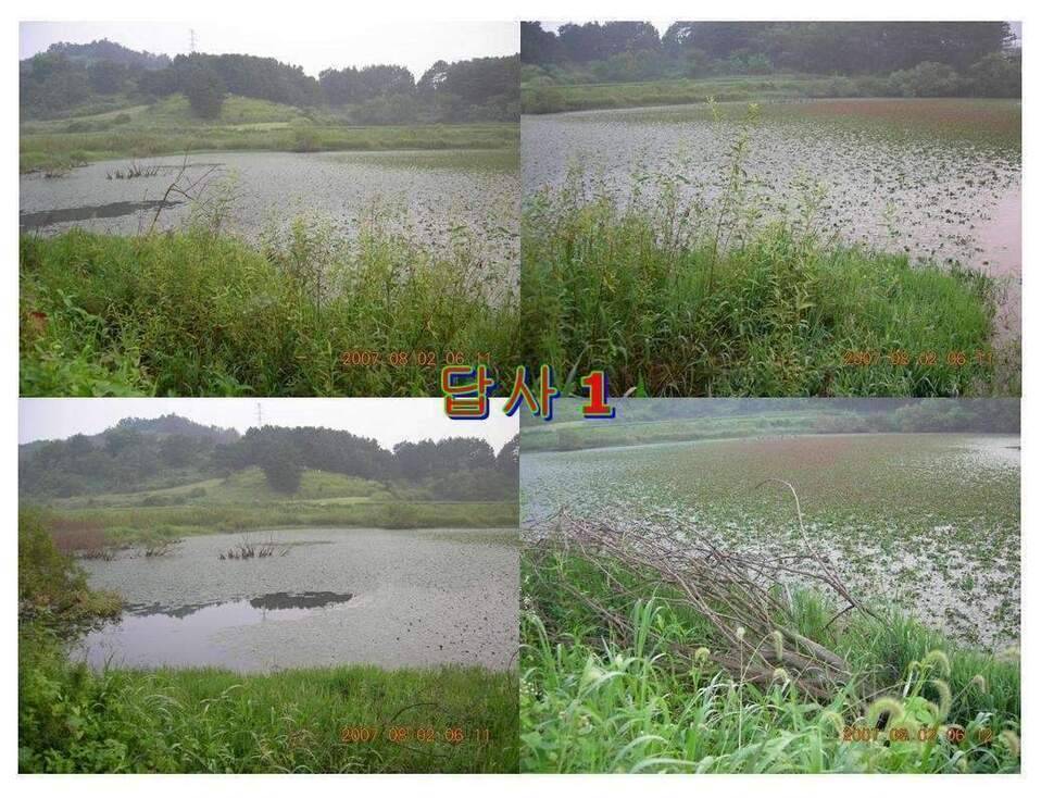 황금 붕어를 만나다 옥천 ☞ 예천 (조황조행기 - 화보조행기)