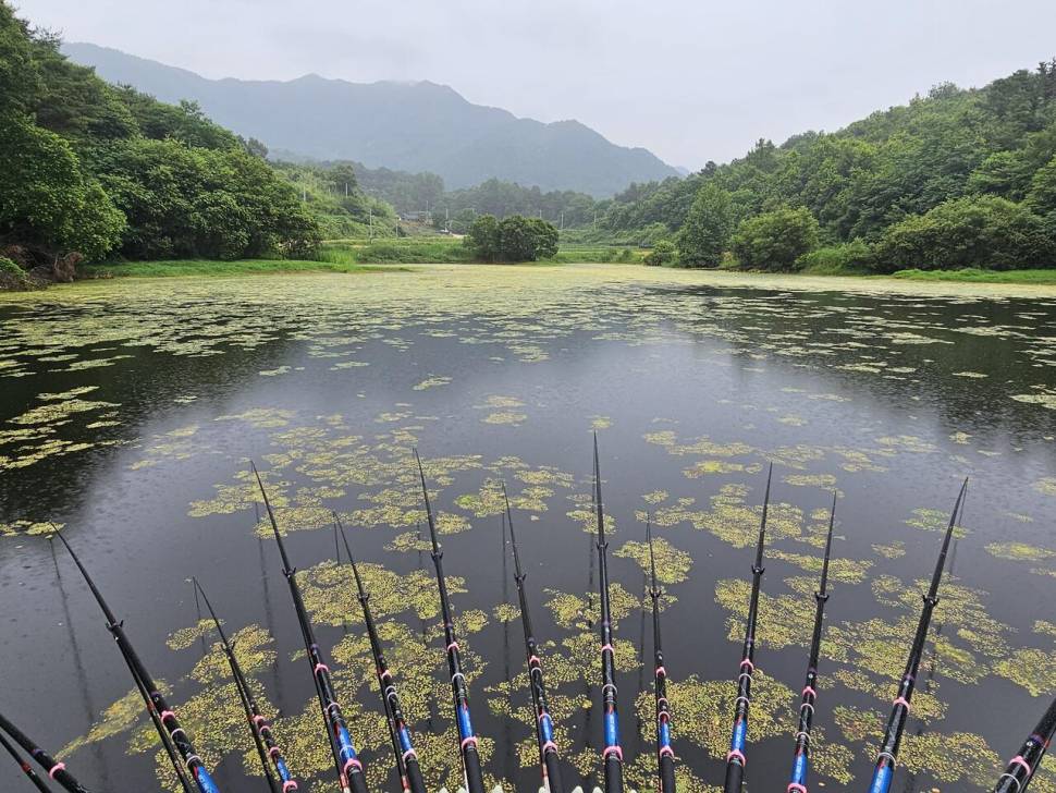 산속소류지에서 (조황조행기 - 화보조행기)