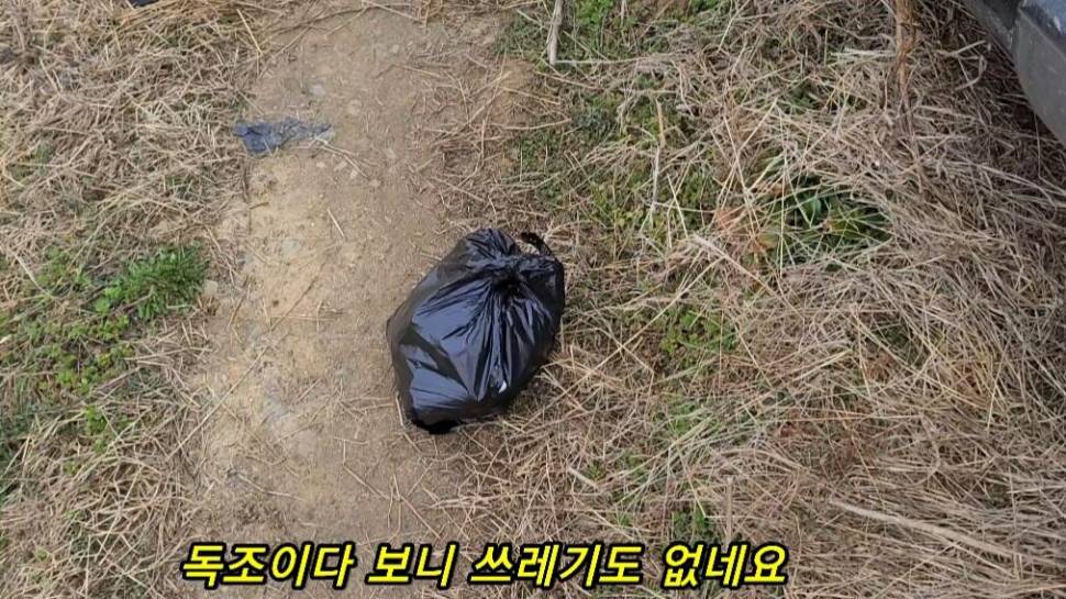 부들갈대 낮은수심 낚시 (조황조행기 - 화보조행기)