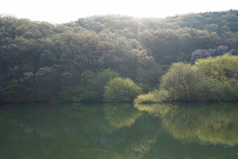 봄날 (조황조행기 - 화보조행기)