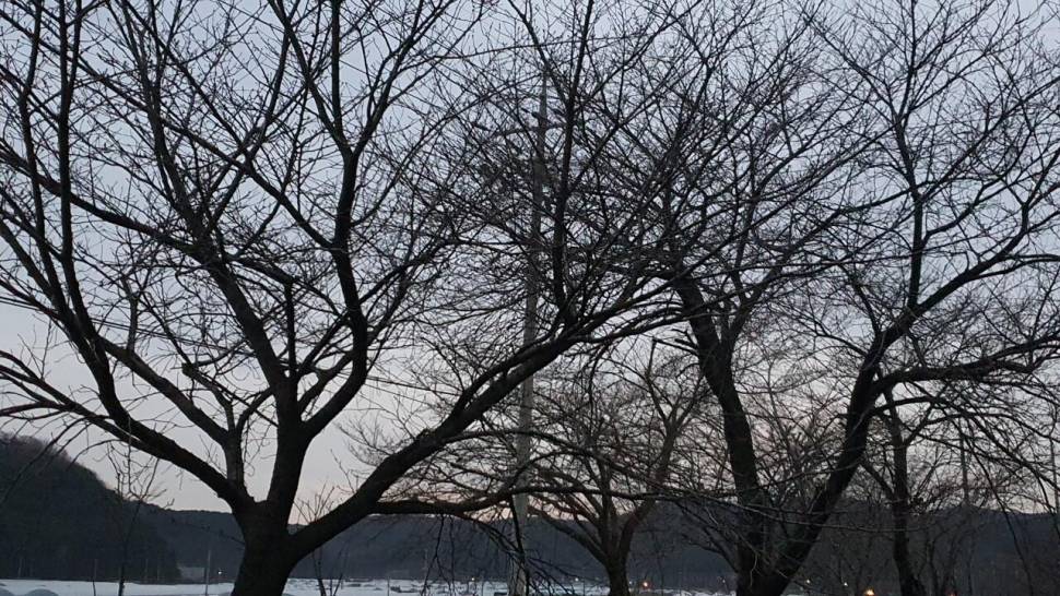 세발이의 힐낚다이어리 (조황조행기 - 화보조행기)