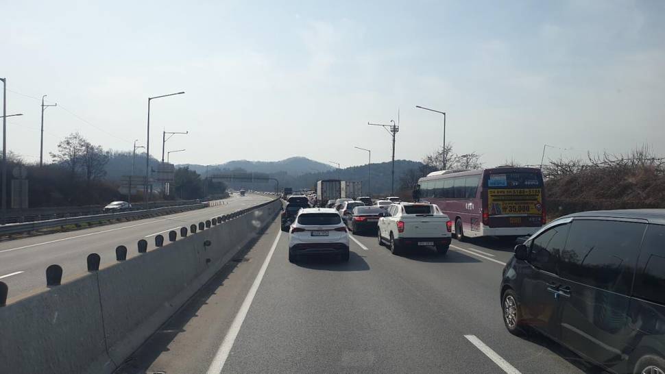 쌍둥이붕어 ㅎ (조황조행기 - 화보조행기)