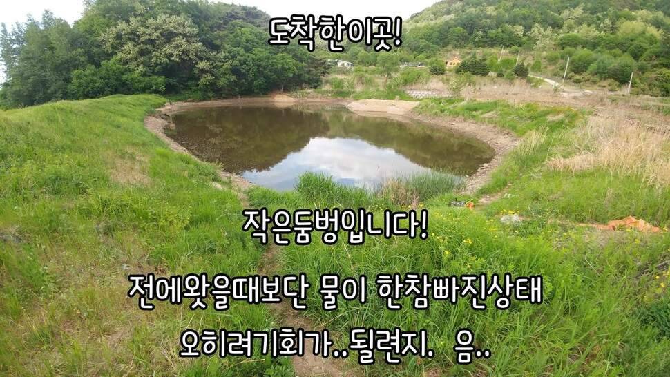 지존조행기아빠와 아들 그리고 피조사 (조황조행기 - 화보조행기)