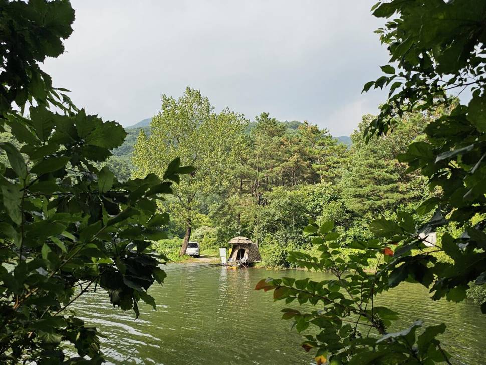 산속 계곡지에서 (조황조행기 - 화보조행기)