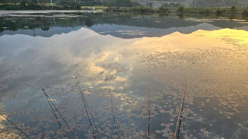 어신魚神 조우회의 10월 정출2번의 기회 (조황조행기 - 화보조행기)