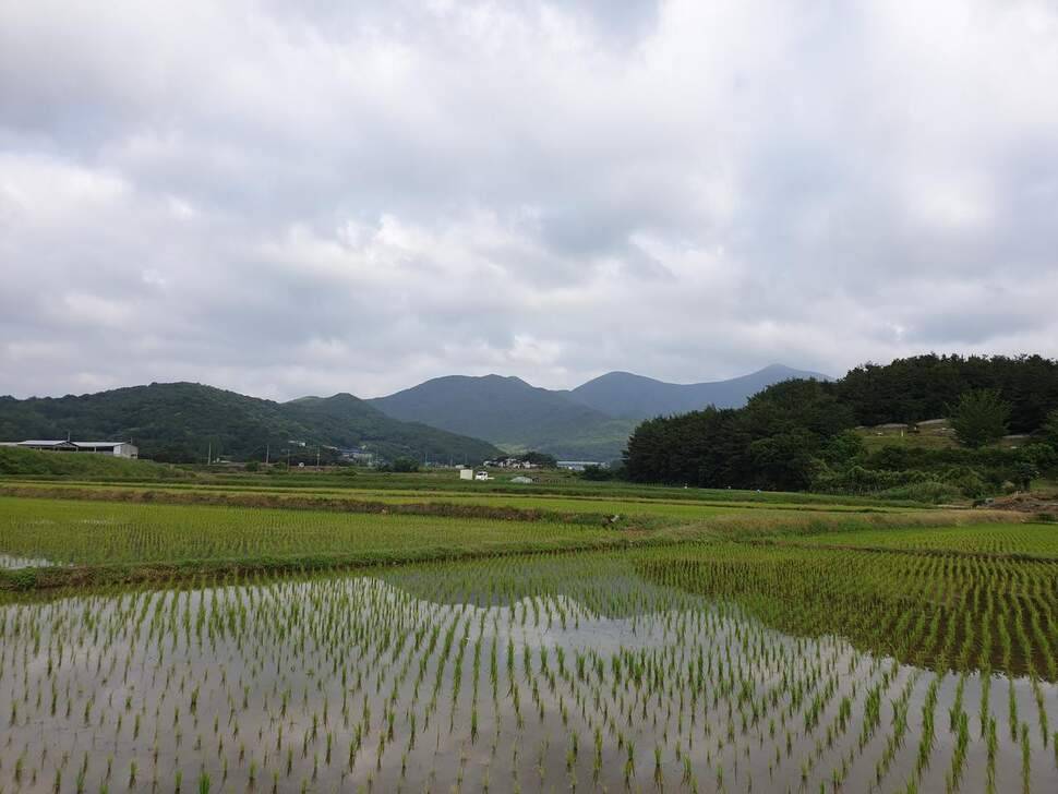 즐거운 낚시 (조황조행기 - 화보조행기)