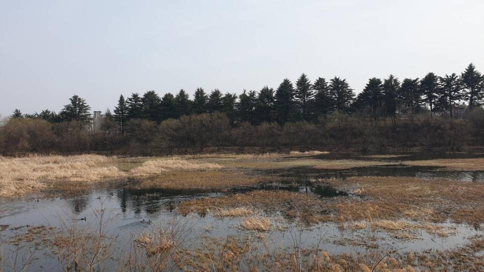 말뚝 찌를 바라보며 (조황조행기 - 화보조행기)