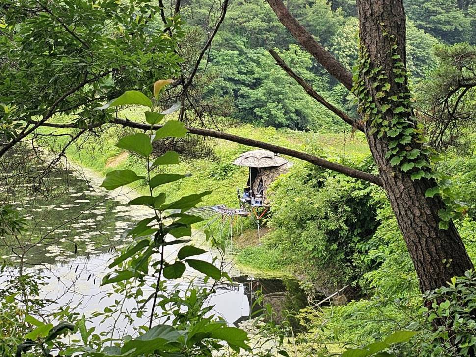 산속소류지에서 (조황조행기 - 화보조행기)