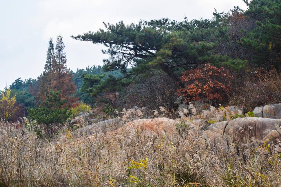 공간의 낚시 조행기 (조황조행기 - 화보조행기)