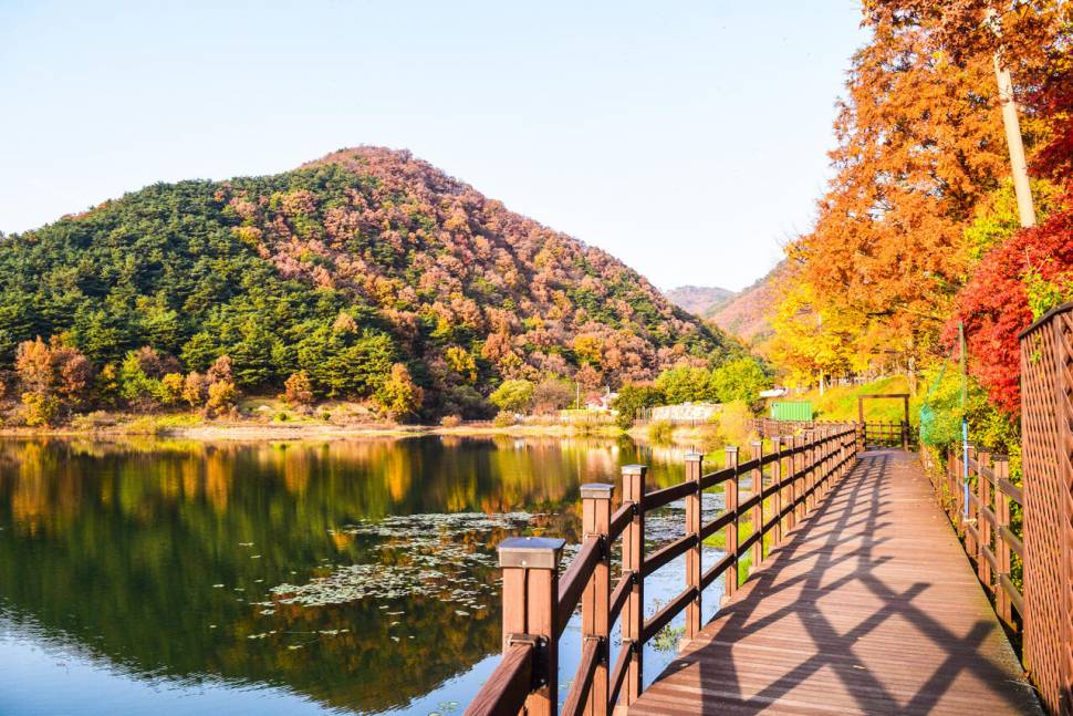 공간의 낚시 조행기 (조황조행기 - 화보조행기)