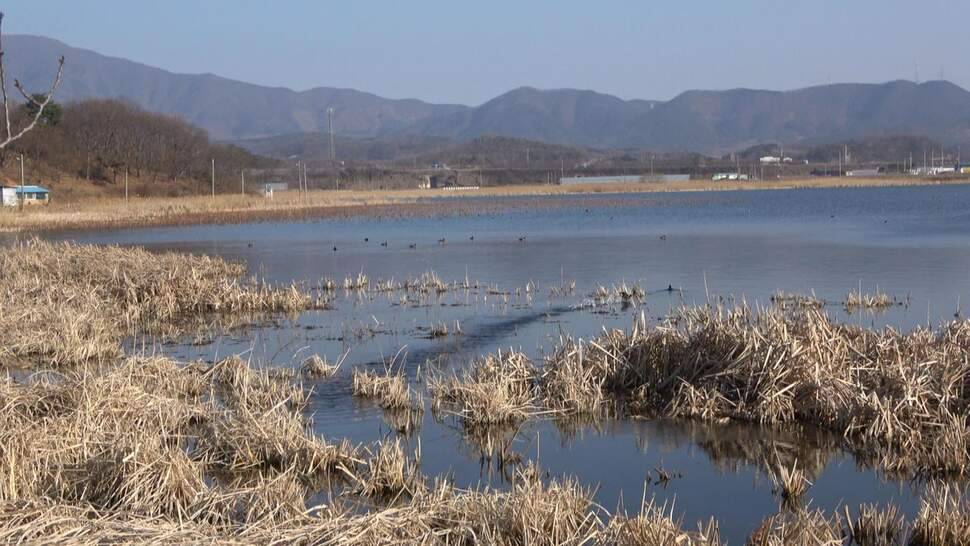 추운날씨 무모한 낚시여행보령 진죽지 (조황조행기 - 화보조행기)