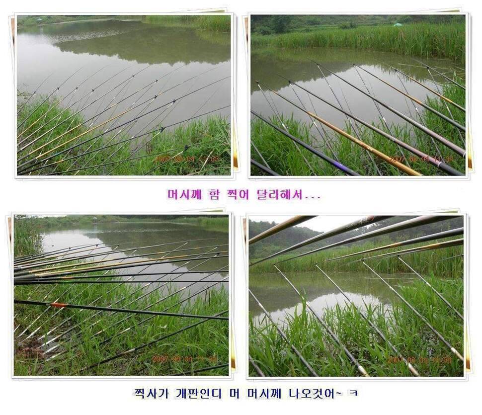 황금 붕어를 만나다 옥천 ☞ 예천 (조황조행기 - 화보조행기)