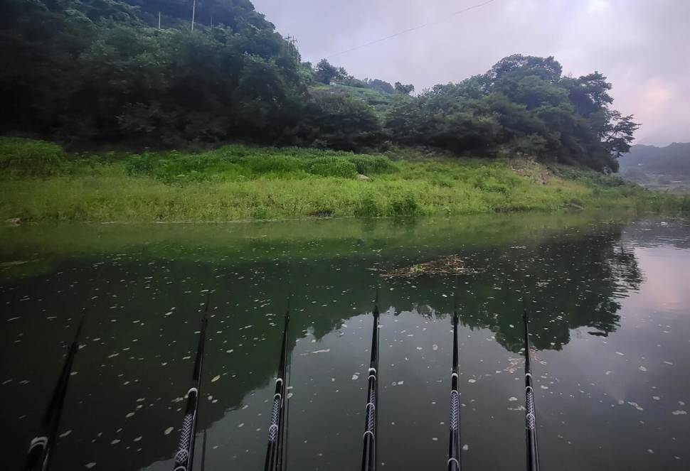 충주 사오리 오름수위 (조황조행기 - 화보조행기)