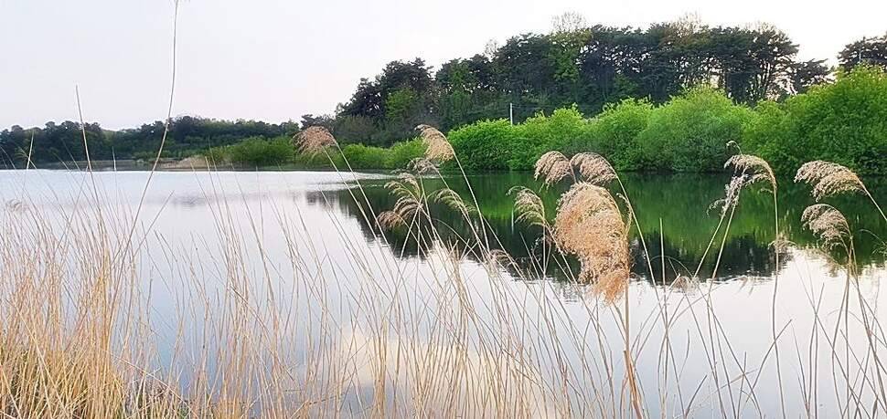 경북권 (조황조행기 - 화보조행기)
