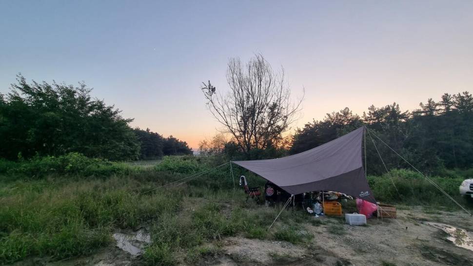 정출을 다녀오며 (조황조행기 - 화보조행기)