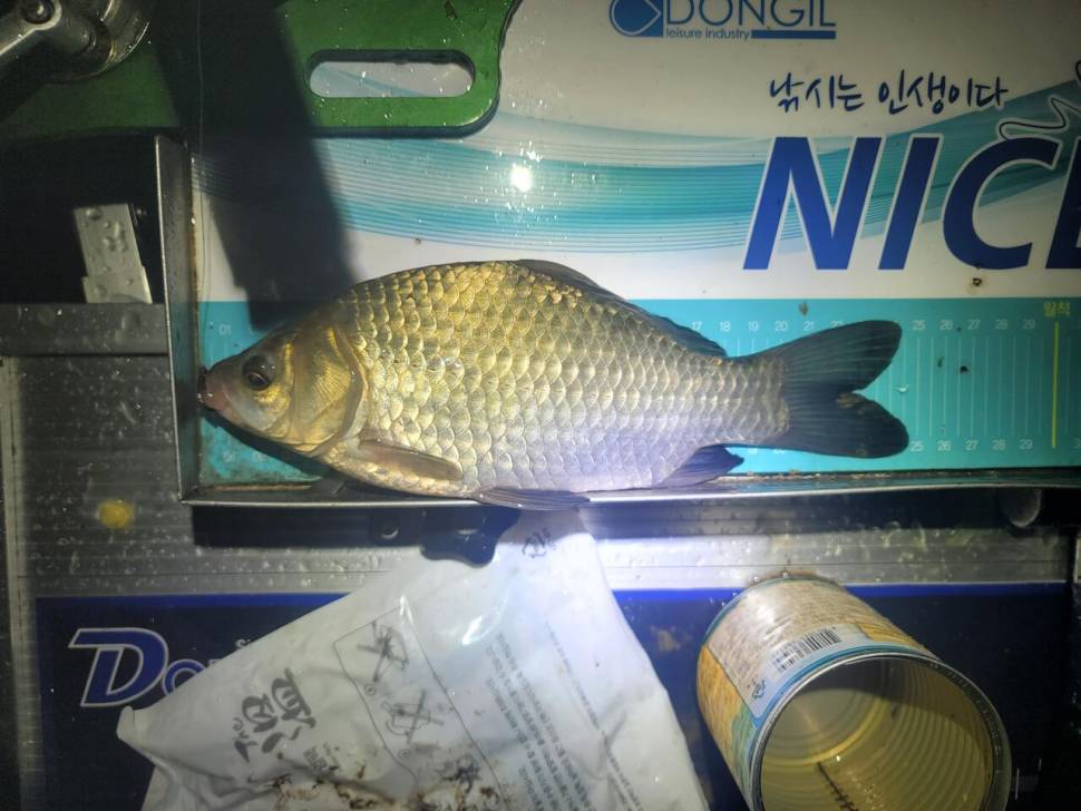 가을 장마가 끝나고 난뒤 (조황조행기 - 화보조행기)