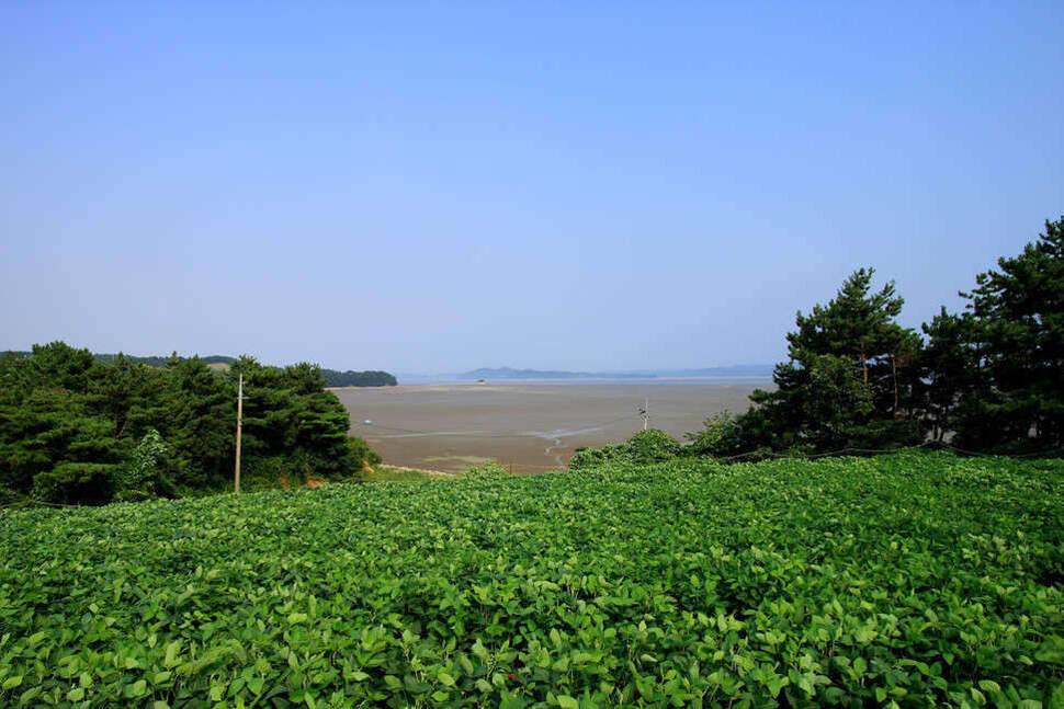 조포의 낚시 여행 원북 창촌지 (조황조행기 - 화보조행기)