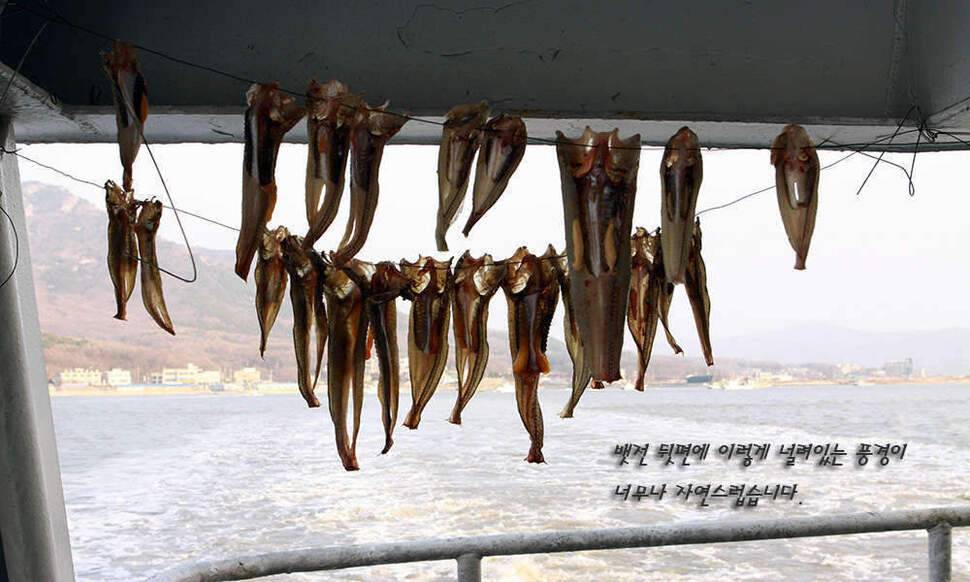 그곳으로 (조황조행기 - 화보조행기)