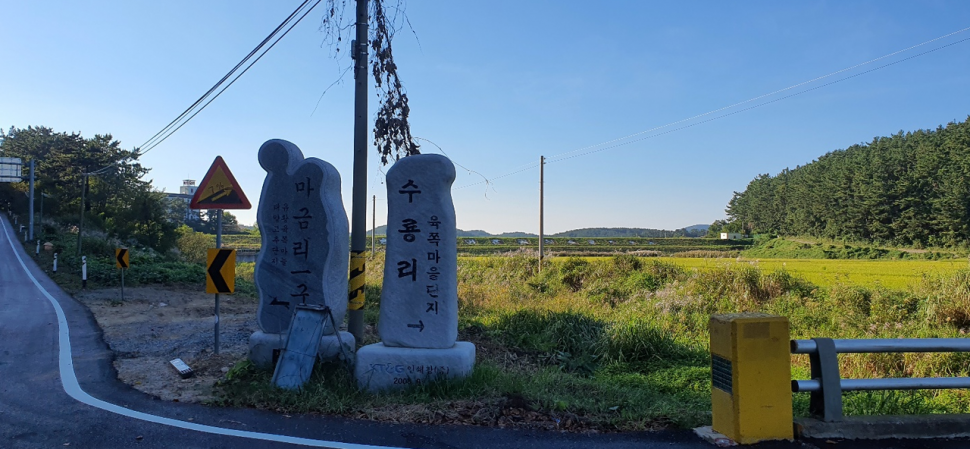 아직은 이른 듯한 수룡지 (조황조행기 - 화보조행기)