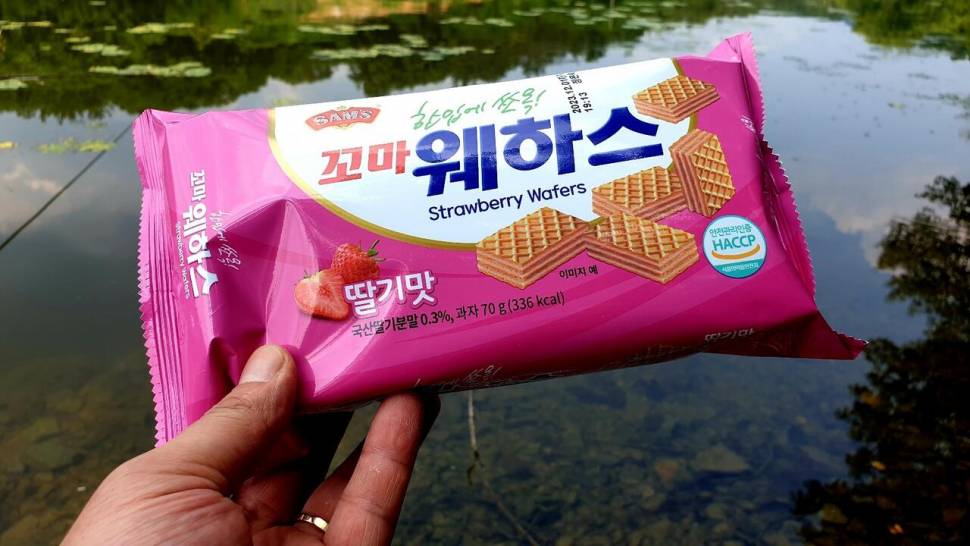 멧돼지놀이터 (조황조행기 - 화보조행기)