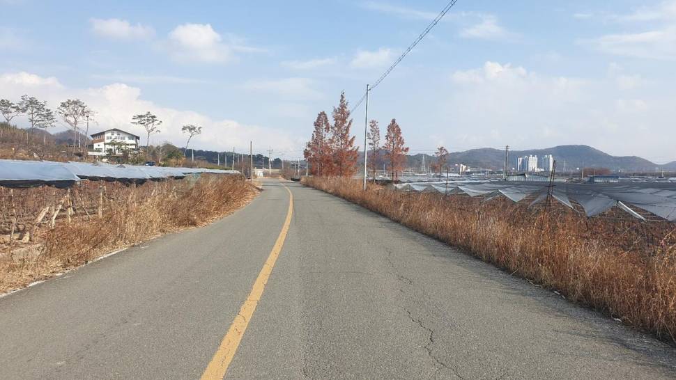 미동없는 찌를 바라보며 (조황조행기 - 화보조행기)