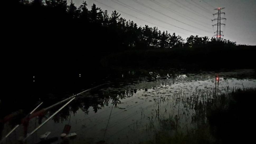 피싱 패밀리 (조황조행기 - 화보조행기)