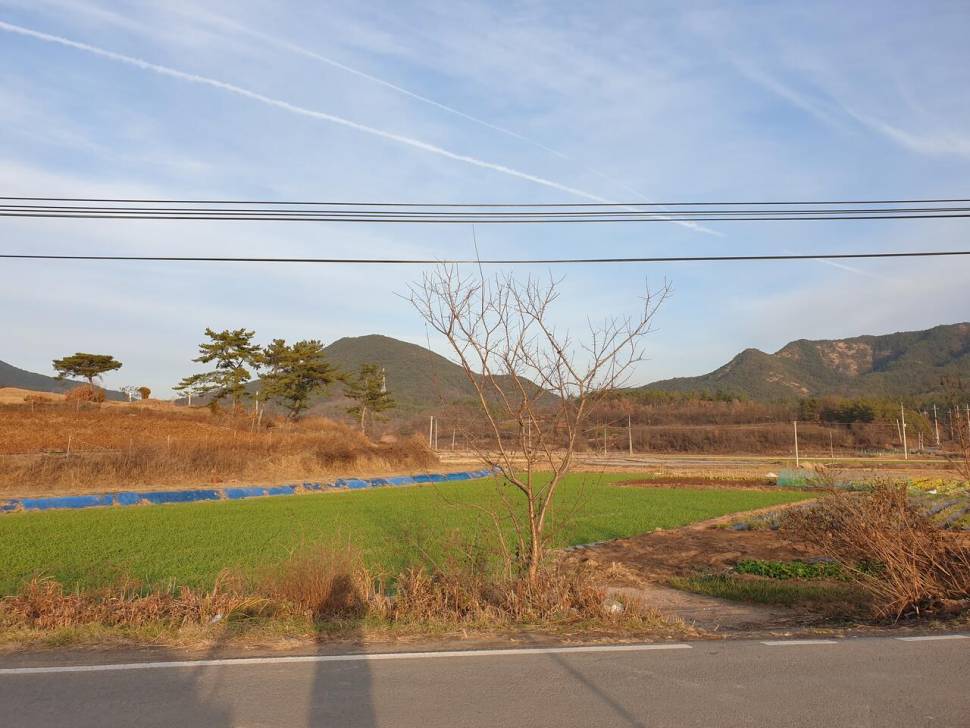 고독조사 (조황조행기 - 화보조행기)