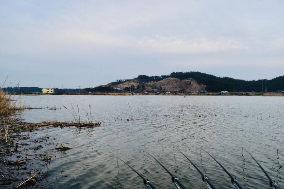 공간의 낚시 조행기 (조황조행기 - 화보조행기)