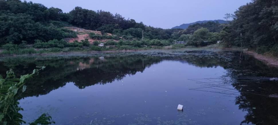 황금빛 붕어는 여기에 (조황조행기 - 화보조행기)
