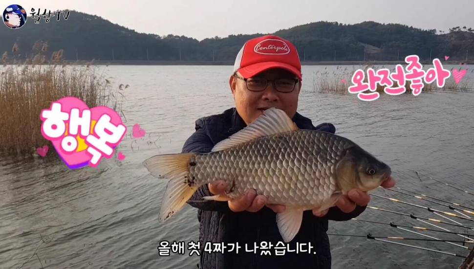 붕어낚시 홍성호에서 6치부터 4짜까지 마릿수 성공 (조황조행기 - 화보조행기)