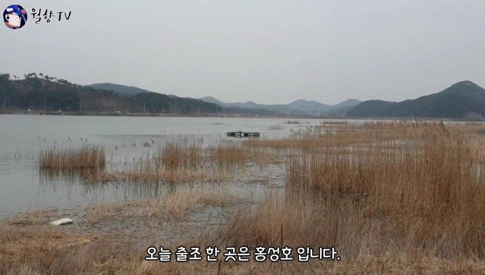 붕어낚시 홍성호에서 6치부터 4짜까지 마릿수 성공 (조황조행기 - 화보조행기)
