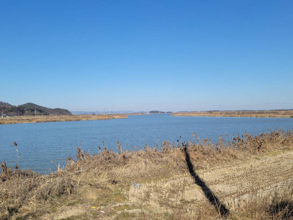 영산강수로해남6주차 (조황조행기 - 화보조행기)