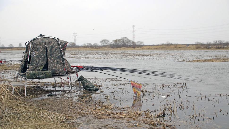 붕어낚시 시즌 시작 Carp fishing season begins (조황조행기 - 화보조행기)