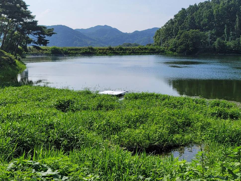 오랜만에 인사드립니다 (조황조행기 - 화보조행기)