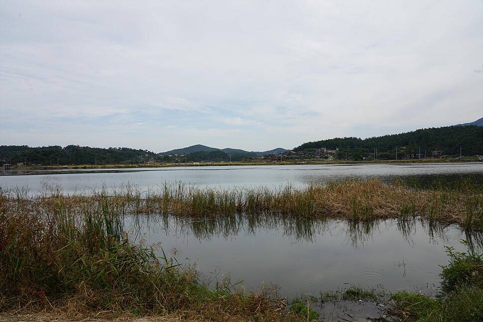 저수지 친구 주말엔 낚시지 (조황조행기 - 화보조행기)