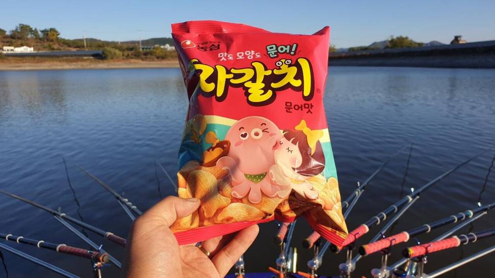 보습팀 정출춤추는찌불 (조황조행기 - 화보조행기)