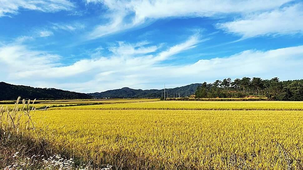 시월의 첫 출조 (조황조행기 - 화보조행기)
