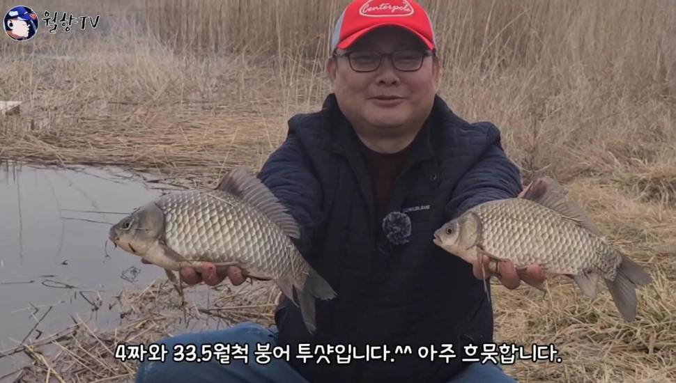 붕어낚시 홍성호에서 6치부터 4짜까지 마릿수 성공 (조황조행기 - 화보조행기)
