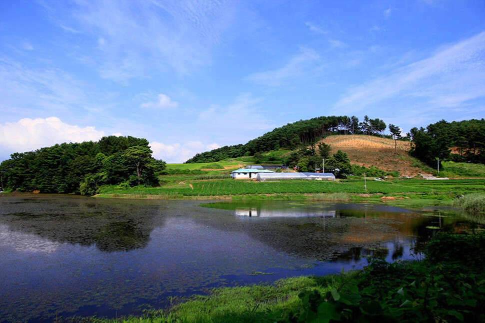 조포의 낚시여행 서산둠벙과 창촌지 (조황조행기 - 화보조행기)