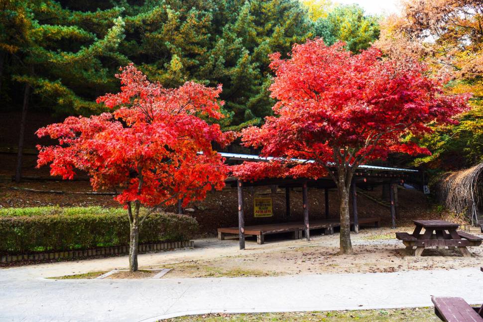 공간의 낚시 조행기 (조황조행기 - 화보조행기)