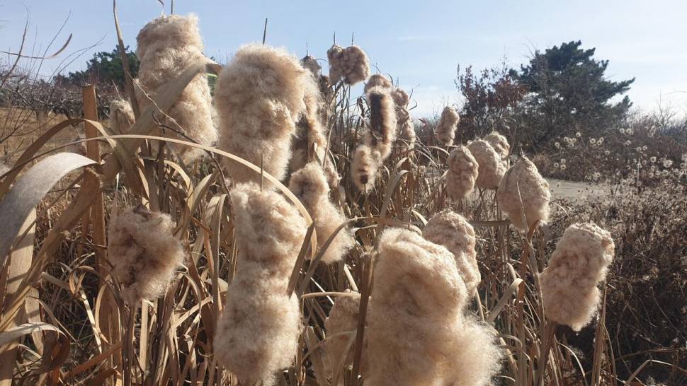 손발이꽁꽁 ㅠㅠ (조황조행기 - 화보조행기)