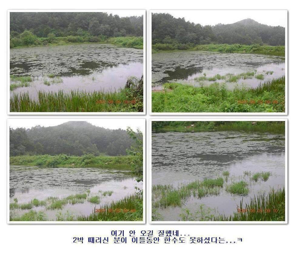 황금 붕어를 만나다 옥천 ☞ 예천 (조황조행기 - 화보조행기)