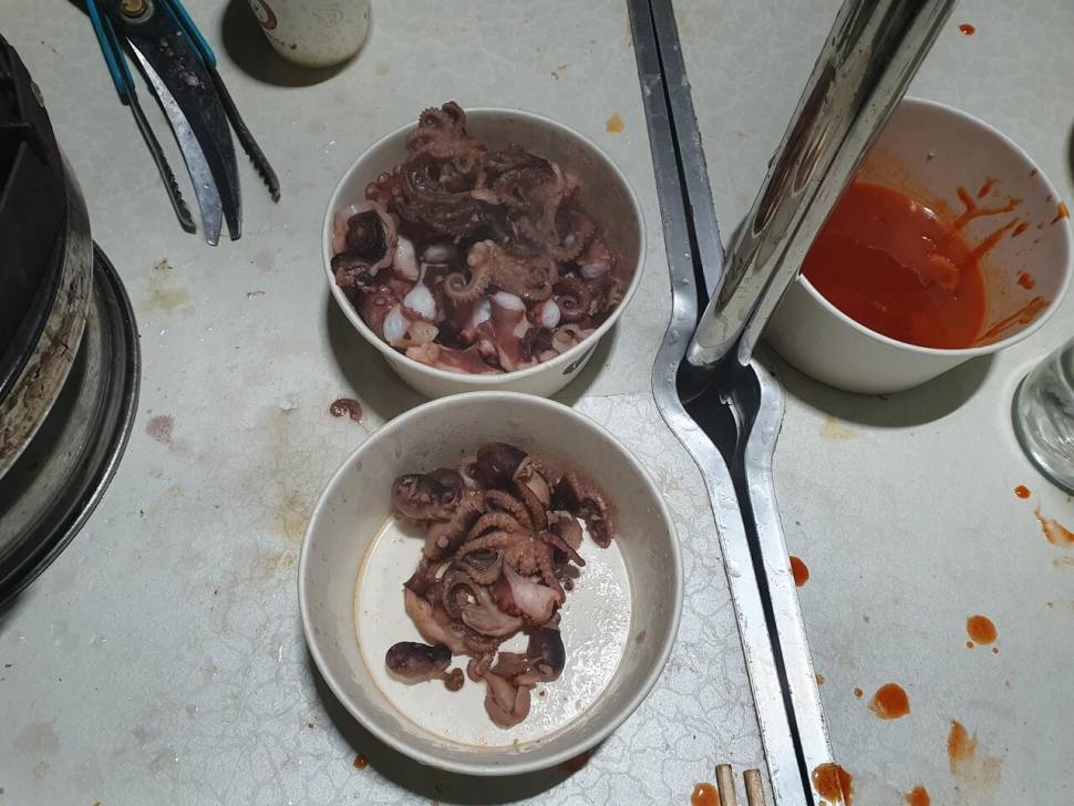 음성으로 2박3일 붕어낚시 후기 (조황조행기 - 화보조행기)