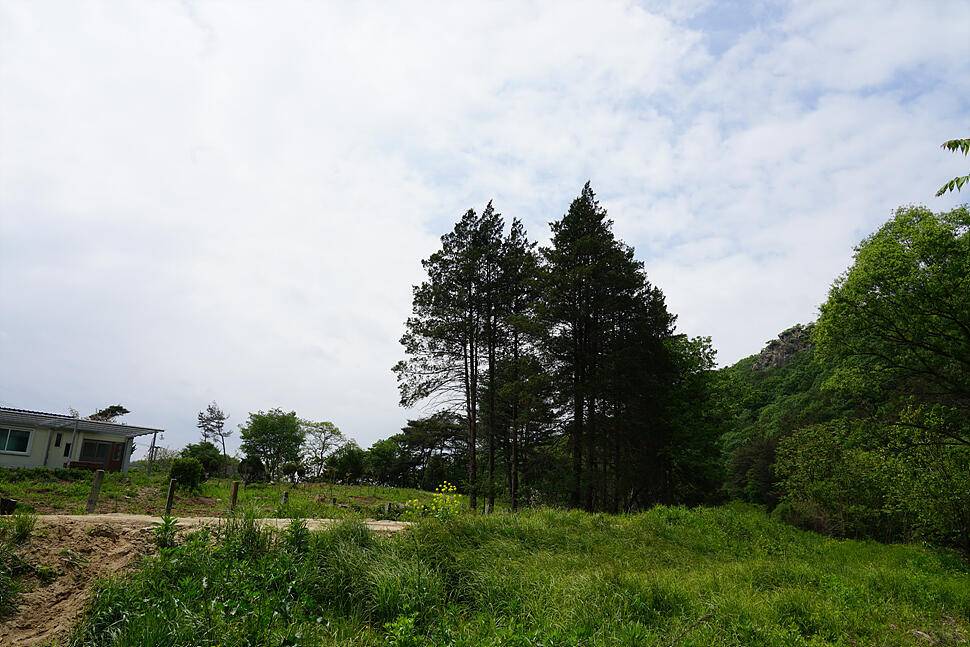 휴식 (조황조행기 - 화보조행기)