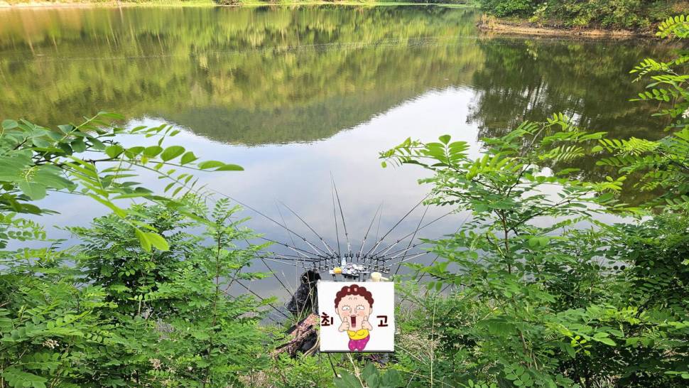 2025년 어신魚神 조우회의 5월 정기 출조 (조황조행기 - 화보조행기)