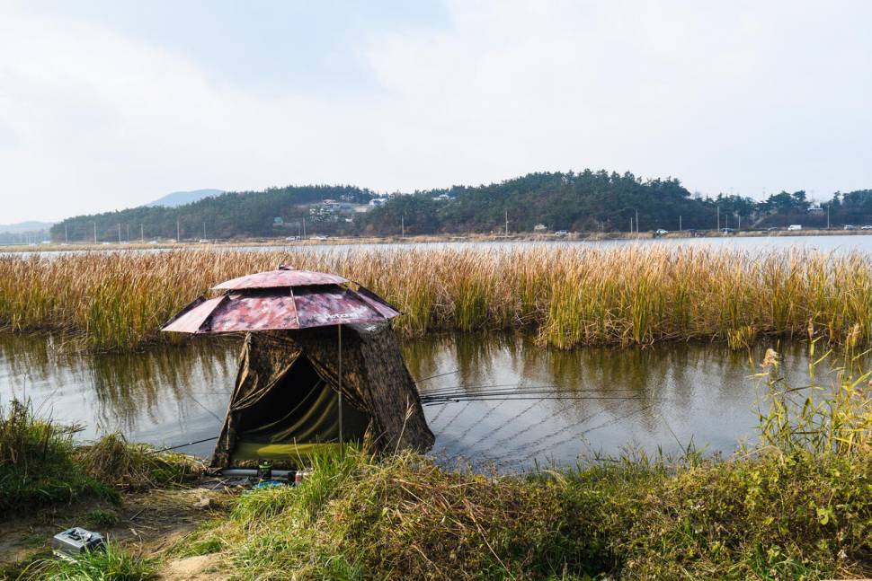 공간의 낚시 조행기 (조황조행기 - 화보조행기)