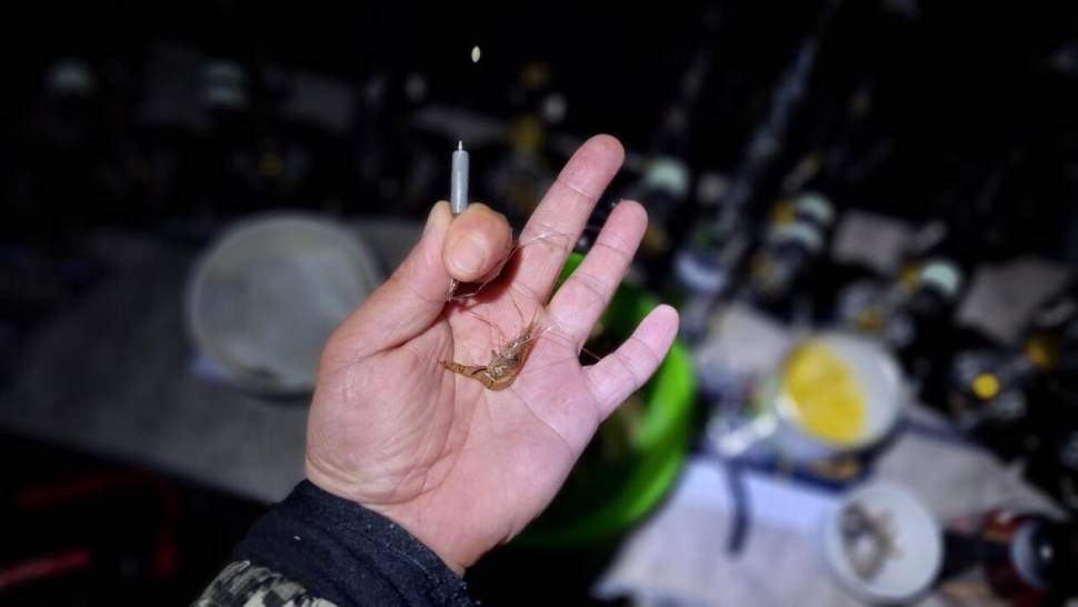붕어를 만나고 싶다 (조황조행기 - 화보조행기)