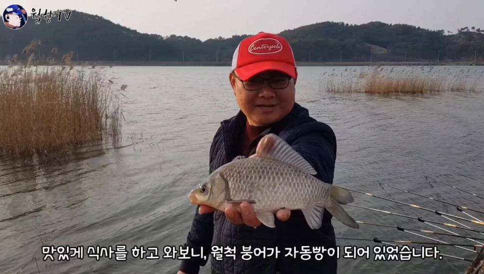 붕어낚시 홍성호에서 6치부터 4짜까지 마릿수 성공 (조황조행기 - 화보조행기)