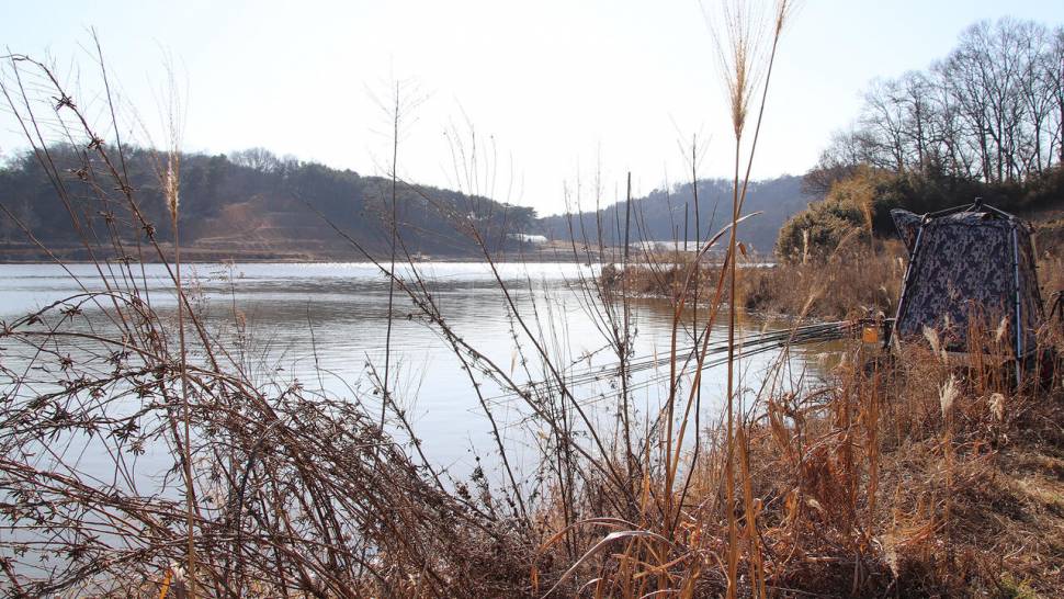 초대리지 봄이 보낸 초대장 (조황조행기 - 화보조행기)